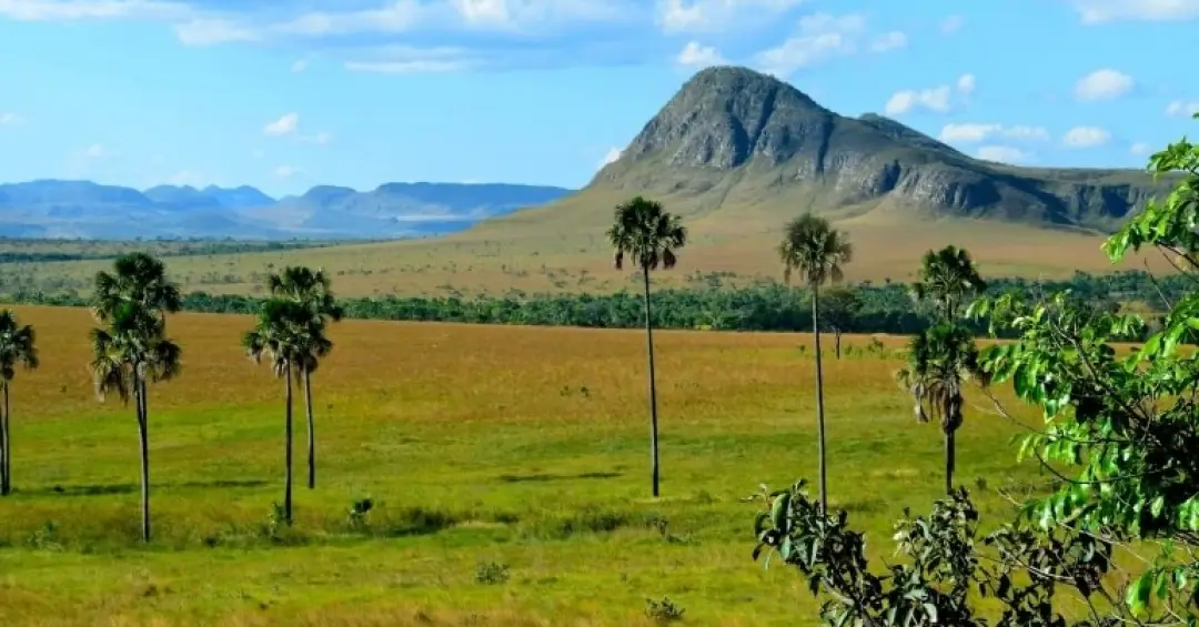 ONG de SP poderá captar R$ 10 milhões, via Lei Rouanet, para projeto na Chapada dos Veadeiros