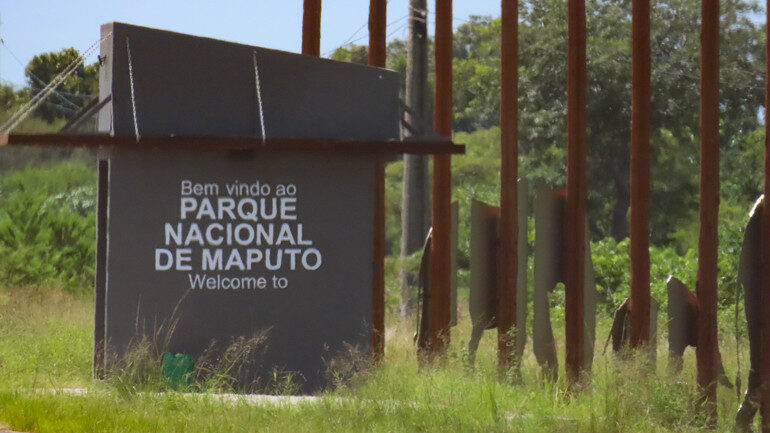 Parque de Maputo reabre serviço de safari