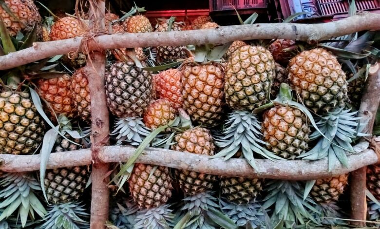 Produtos alimentares deterioram em Magul