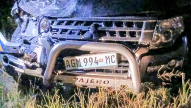 Automobilista embate num elefante em Maputo