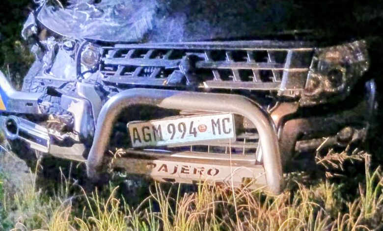 Automobilista embate num elefante em Maputo