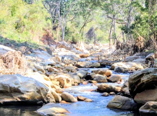 CHIMANIMANI: A importância ecológica do rio Mussapa