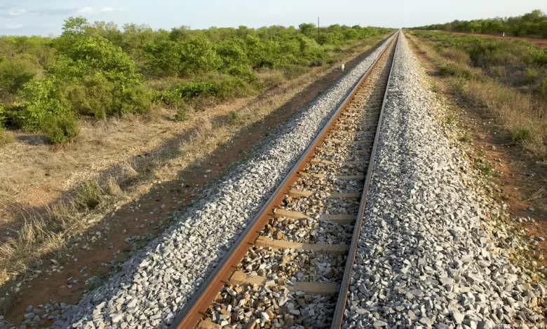 Governo cria gabinete para coordenar linha férrea Norte-Sul