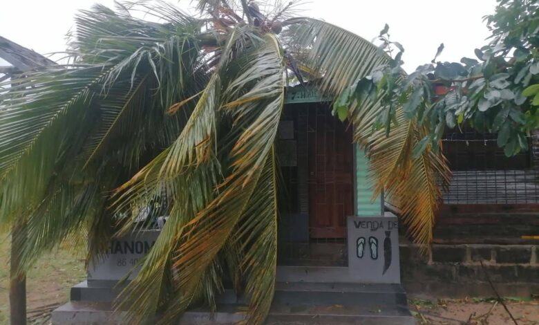 Inhambane: Gezani deixa um rastro de destruição