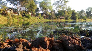 Inundações paralisam turismo no Parque Nacional do Limpopo, em Gaza