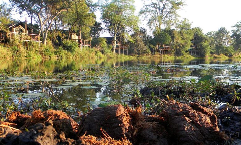Inundações paralisam turismo no Parque Nacional do Limpopo, em Gaza