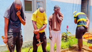 Quatro detidos por roubo e falsas qualidades