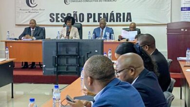 SEGUNDO A MINISTRA IVETE ALANE: Transição económica exige mercado de trabalho mais robusto