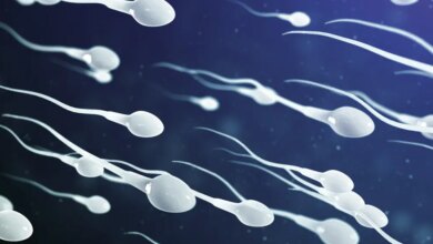 Cientistas descobrem novo benefício da masturbação masculina
