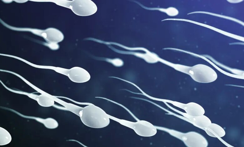 Cientistas descobrem novo benefício da masturbação masculina