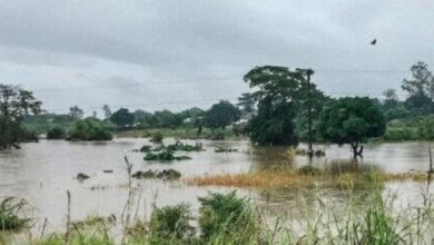 Comunidades de Morrumbala e Mutarara em risco de cheias após descargas no Malawi