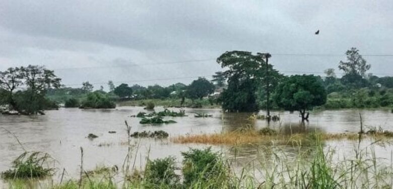 Comunidades de Morrumbala e Mutarara em risco de cheias após descargas no Malawi