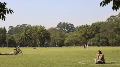 Do paisagismo à biologia: como áreas verdes afetam a saúde