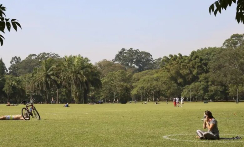 Do paisagismo à biologia: como áreas verdes afetam a saúde