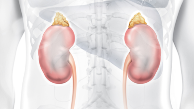 Doença renal crônica: um desafio silencioso no Brasil