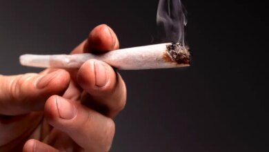 Maconha pode deixar marcas no cérebro, indica estudo