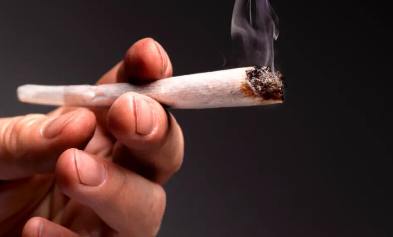Maconha pode deixar marcas no cérebro, indica estudo