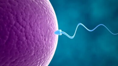 O componente da dieta que pode sabotar a fertilidade