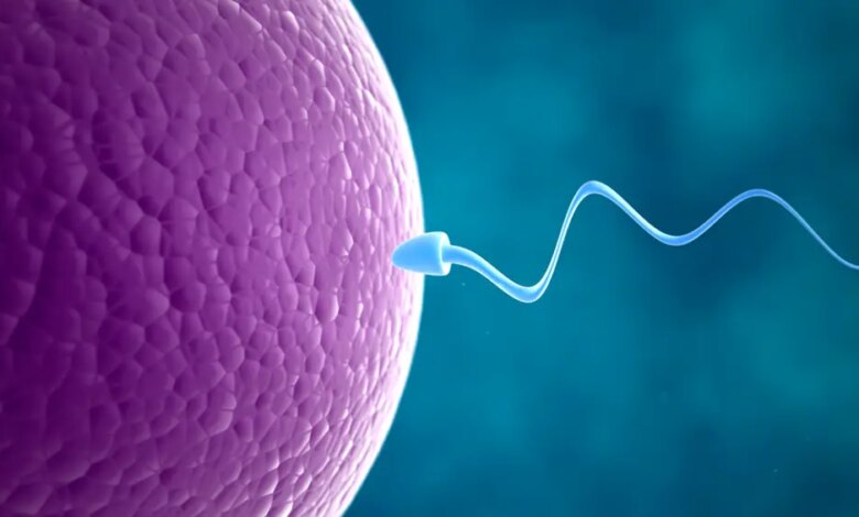 O componente da dieta que pode sabotar a fertilidade