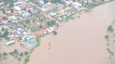 Plano de Reconstrução Pós-Cheias 2026 em fase final de elaboração