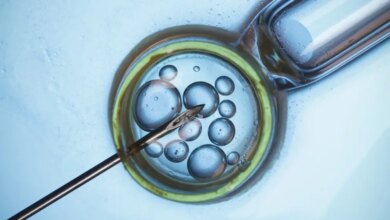 Relógio biológico não tira férias: impactos de adiar fertilização in vitro