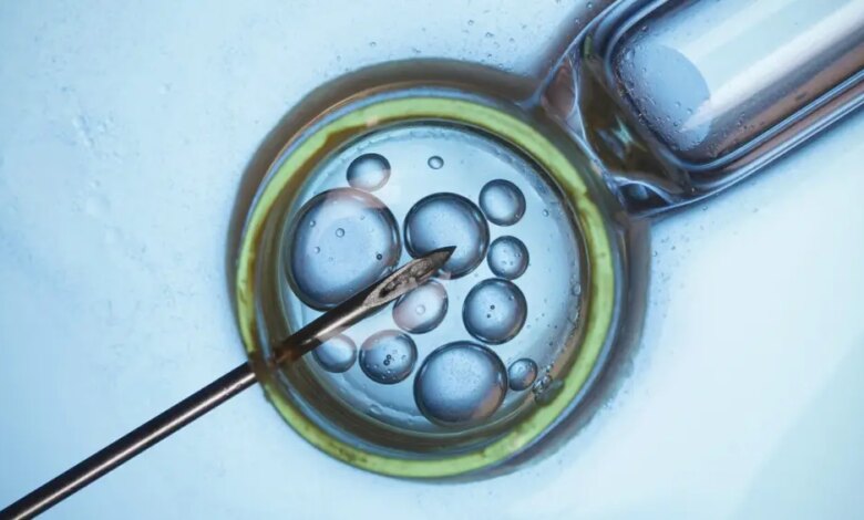 Relógio biológico não tira férias: impactos de adiar fertilização in vitro