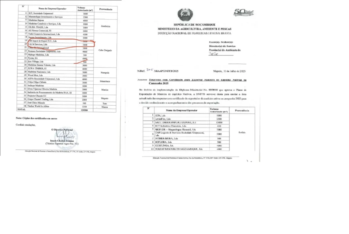 S&M services acusada de extrapolar quotas de exportação de madeira  