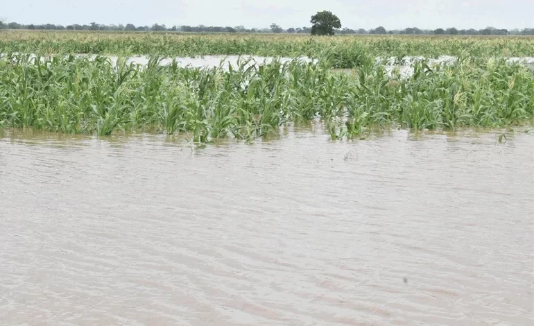 Transbordo do Rio Zambeze inunda milhares de hectares em Chemba