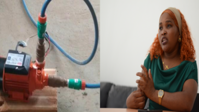 BEATRIZ ZAVALE:  Criou electrobomba para facilitar irrigação de machambas