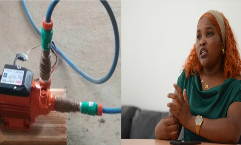 BEATRIZ ZAVALE:  Criou electrobomba para facilitar irrigação de machambas