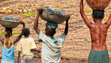 Combate à exploração: Nampula Resgata 34 Crianças do Trabalho Infantil no Primeiro Trimestre