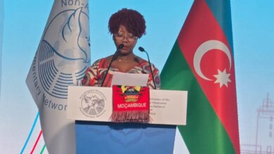Ivone Soares defendeu em Istambul criação de cidades resilientes