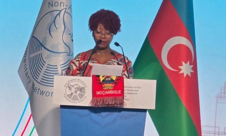 Ivone Soares defendeu em Istambul criação de cidades resilientes