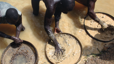 Malawi deporta sete moçambicanos por mineração ilegal de ouro