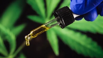 Cannabis medicinal cresce mais rápido que antidepressivos