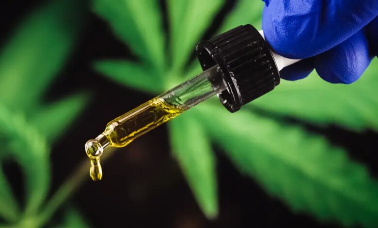 Cannabis medicinal cresce mais rápido que antidepressivos