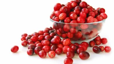 Cranberry: estudo aponta efeito aliado no tratamento de infecção urinária