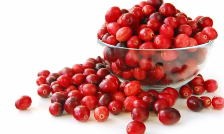 Cranberry: estudo aponta efeito aliado no tratamento de infecção urinária