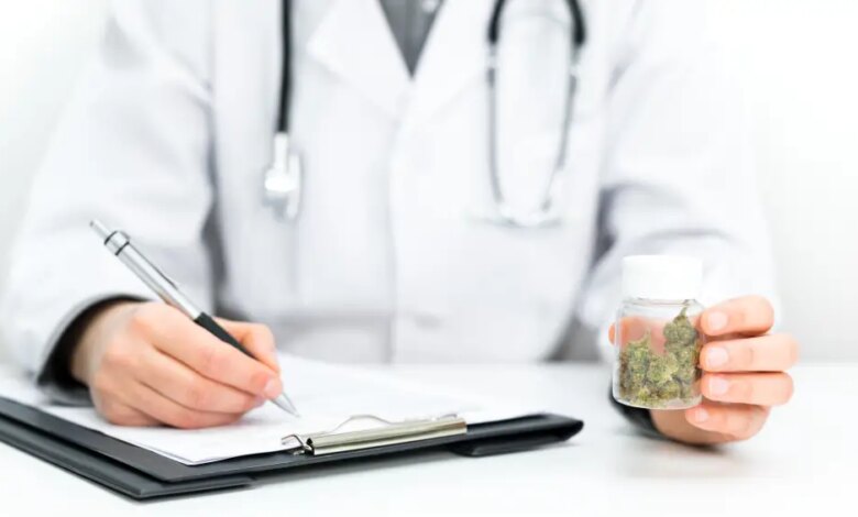 De IA médica à nova receita: o que será debatido no congresso de cannabis