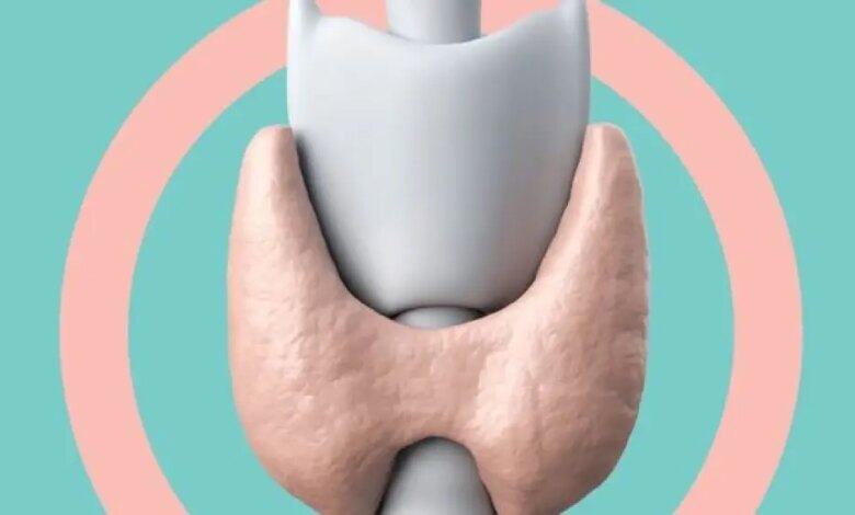Do exame ao tratamento: o que mudou no cuidado com a tireoide