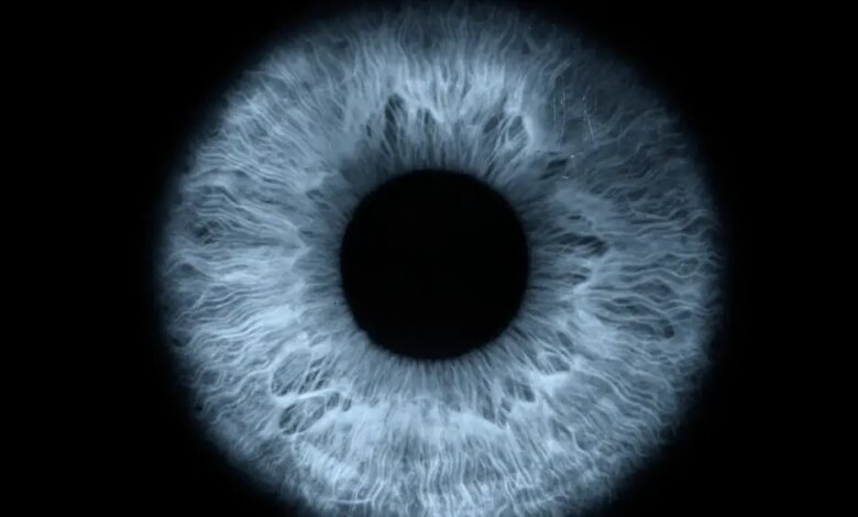 Entidades lançam manifesto por rigor na venda de colírios por risco de glaucoma