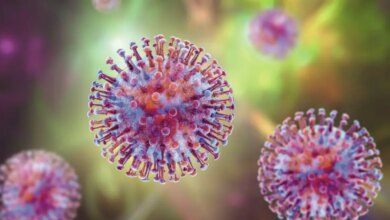 Hantavírus: temor de uma nova covid-19 tem fundamento? O que a ciência diz sobre chances de uma nova pandemia