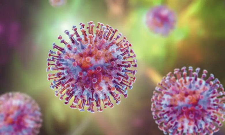Hantavírus: temor de uma nova covid-19 tem fundamento? O que a ciência diz sobre chances de uma nova pandemia