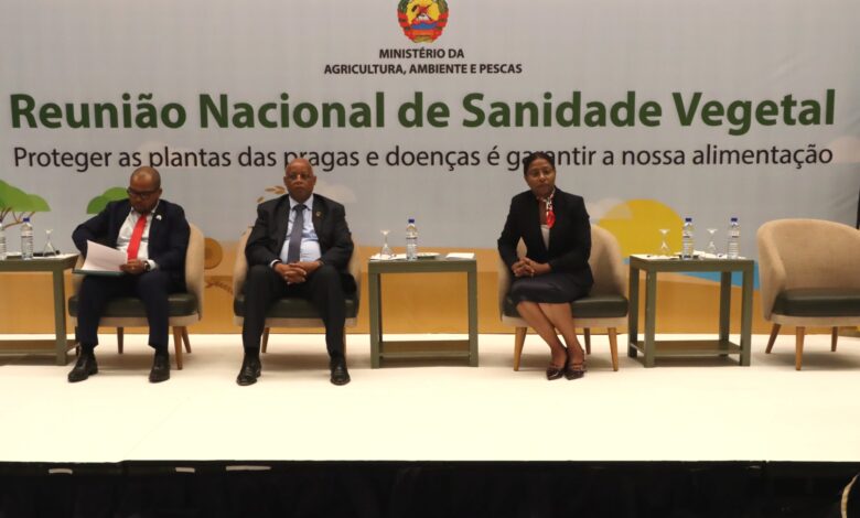 Pragas afectam sanidade vegetal no país