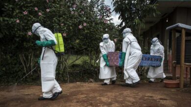 RDC: Ébola mata 65 pessoas