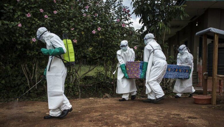 RDC: Ébola mata 65 pessoas