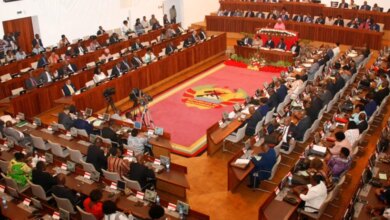 Simplified legislative procedure and its implications for democracy
