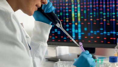 Uma injeção capaz de ‘desligar’ o colesterol alto: as promessas da terapia baseada em edição do DNA