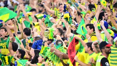 A neurociência da torcida: o que a Copa do Mundo faz com o nosso cérebro