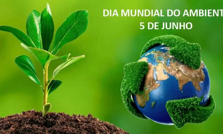Cerca de 20 milhões de pessoas nas zonas costeiras enfrentam desastres naturais anuais em Moçambique